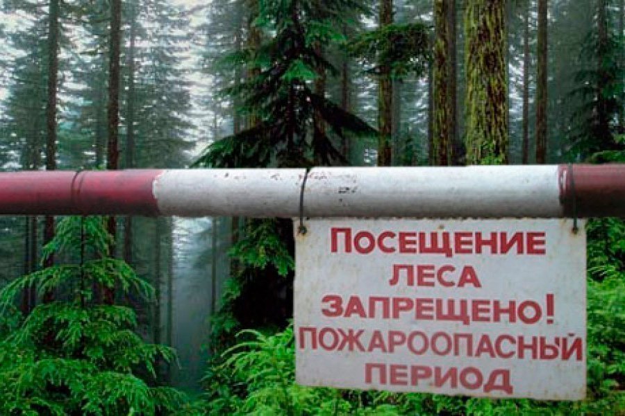 Интерактивная карта запрета посещения лесов в беларуси